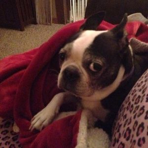 Meet your Posher, Jenny